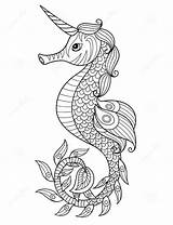 Wonderful Seahorse coloring Page  Download Print Or Color Online For Free sketch template