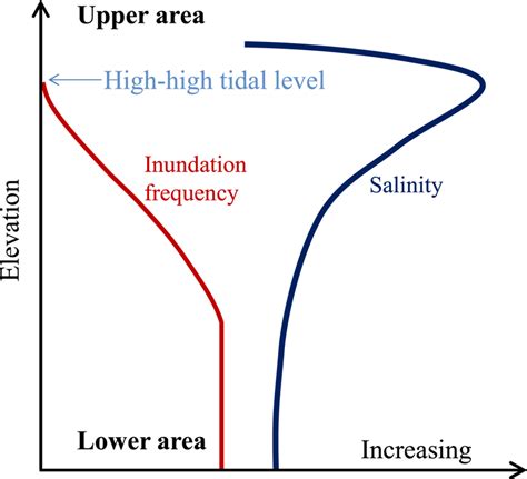 Typical porewater salinity distribution and inundation frequency along ...