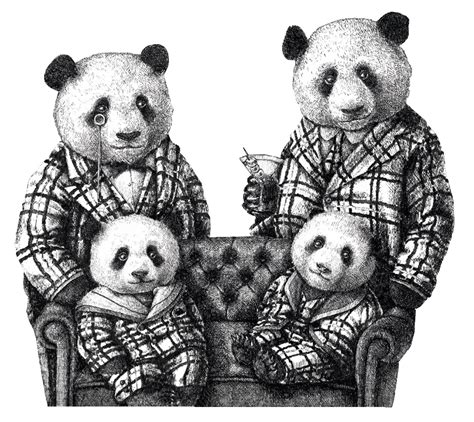 Panda & Sons — book