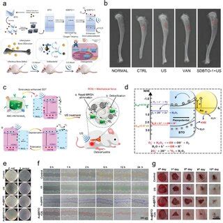 (PDF) Piezoelectricity, Pyroelectricity and Ferroelectricity in Biomaterials and Biomedical ...