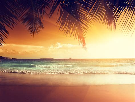 Tropical Beach Sunset Wallpaper - WallpaperSafari
