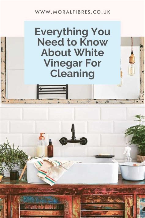 White vinegar for cleaning everything you need to know – Artofit