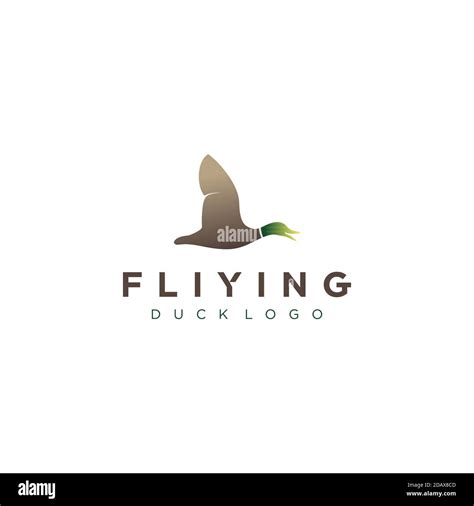 flying duck logo design Stock Vector Image & Art - Alamy