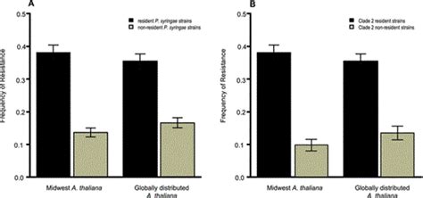 MALADAPTATION IN WILD POPULATIONS OF THE GENERALIST PLANT PATHOGEN ...