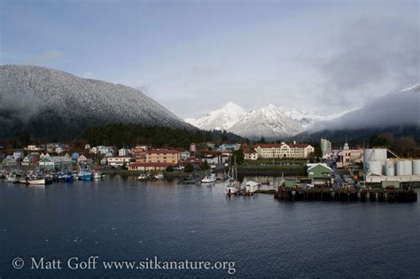 Gallery: 20100304 Downtown View – Sitka Nature