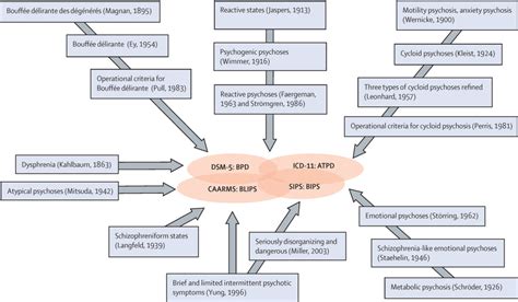 Diagnosis, prognosis, and treatment of brief psychotic episodes: a ...