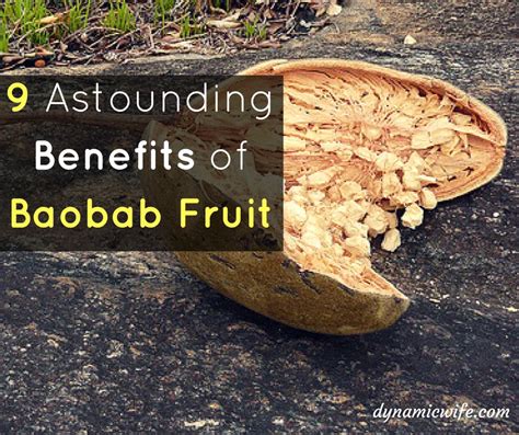 7 Wow Benefits of Baobab Fruit Powder + Interesting Facts!