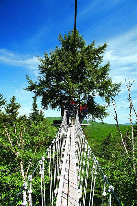 Bretton Woods Canopy Tour - All You Need to Know BEFORE You Go (2024)