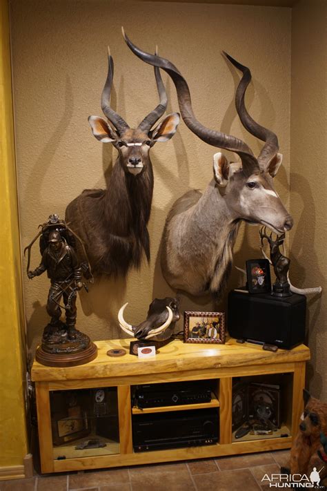 Nyala & Kudu Shoulder Mount Trophies Taxidermy | AfricaHunting.com