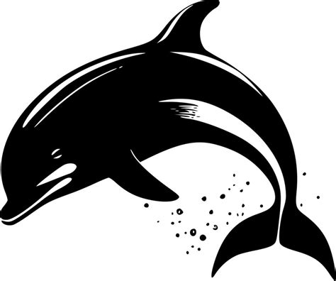 Dolphin - Black and White Isolated Icon - Vector illustration 24161237 Vector Art at Vecteezy