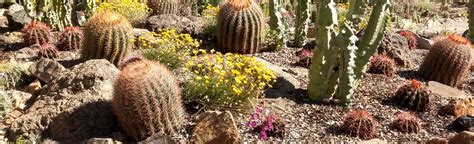 Arizona Sonora Desert Museum Trail, Arizona - 76 Reviews, Map | AllTrails