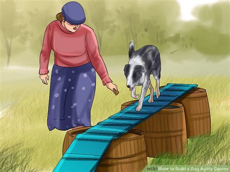 How to Design a Dog Agility Course: 12 Steps (with Pictures)