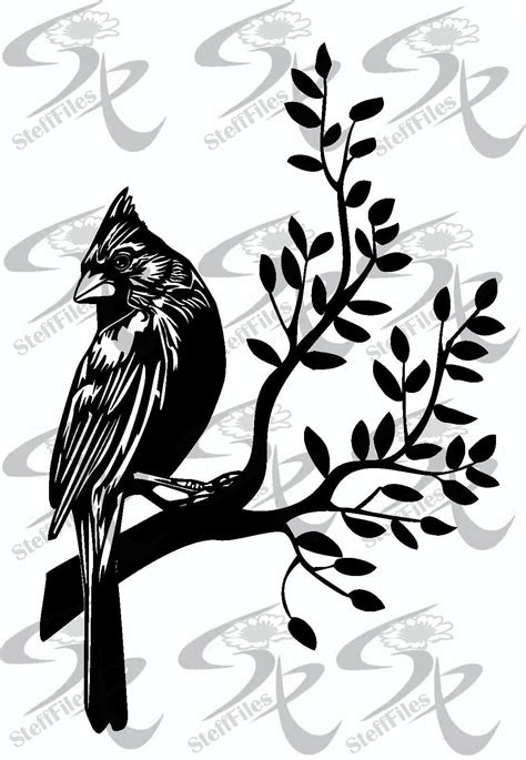 Bird Silhouette, Cardinal Birds, Bird On Branch, Bird Drawings, Pen Art ...