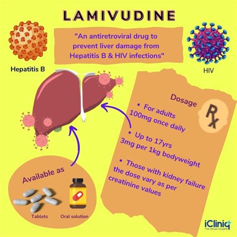 How Does Lamivudine Work to Treat Hepatitis B?