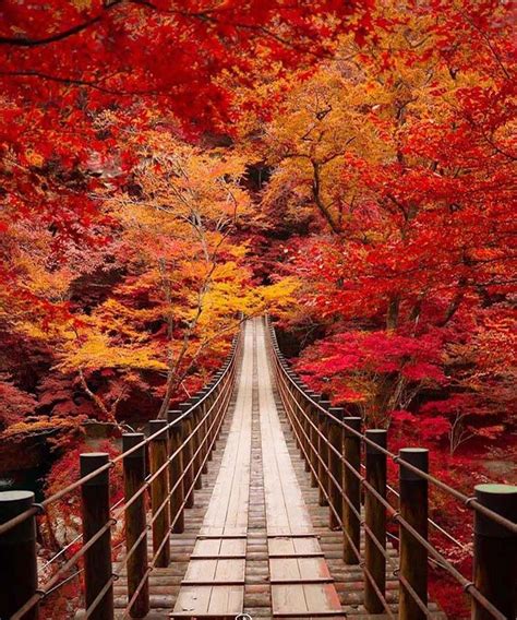 Autumn in Japan | Modren Villa | Autumn scenery, Japan photography, Scenery