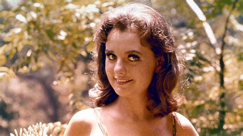 Hollywood Pays Tribute to Beloved 'Gilligan's Island' Actress Dawn Wells