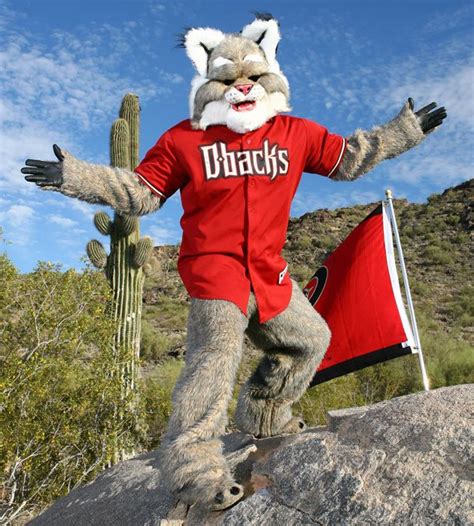 Baxter, the Arizona Diamond Backs. | Mascot, Mascot costumes, Baseball ...