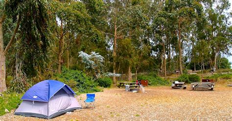 Camp at the Rob Hill Campground, San Francisco, California