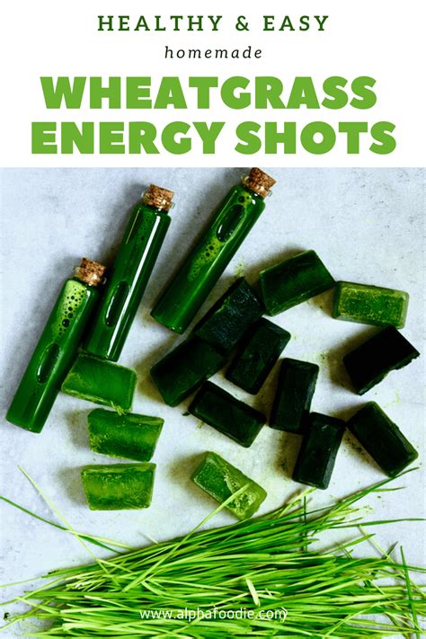 How to make Wheatgrass Shots and Juice - Alphafoodie