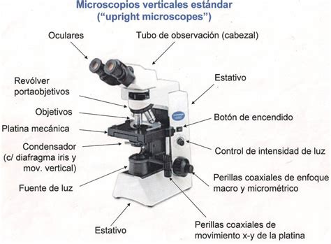 Microscopio Optico Y Sus Partes Para Dibujar | OmahlogDD