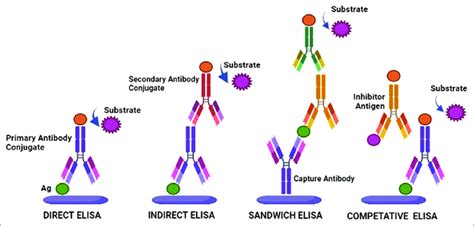 ELISA types and its principle. ELISA: Enzyme-linked immunosorbent assay ...