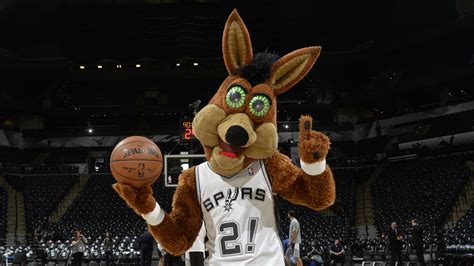 Spurs Coyote - Mascot Coyote of the San Antonio Spurs looks on against ... / Search, discover ...