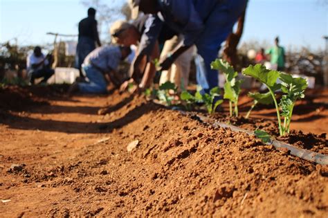 Zimbabwe Community Agriculture Project - Unto (powered by ServiceReef)