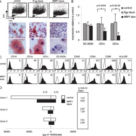 The leukotriene pathway is not essential for LC differentiation. MUTZ3... | Download Scientific ...