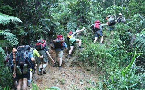 Kokoda Track Experience - Kokoda Trail Treks - 40323000