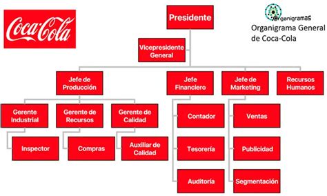 Organigrama Vertical ( actualizado 2024 )