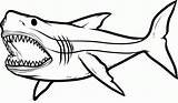 Free Printable Coloring Pages Sharks sketch template