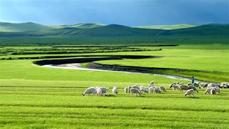 Inner Mongolian Grasslands - News - Cardiff University