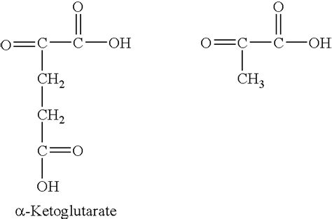 Alpha Ketoglutaric acid - Alchetron, the free social encyclopedia