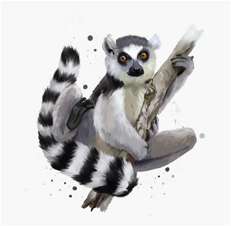 Transparent Lemur Clipart - Lemurs , Free Transparent Clipart - ClipartKey