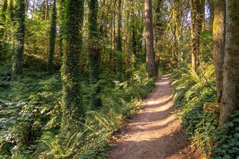 The Best Hikes near Portland: A Local's Complete Guide