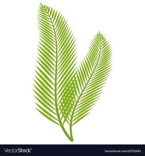 Palm branch leaves on white background Royalty Free Vector