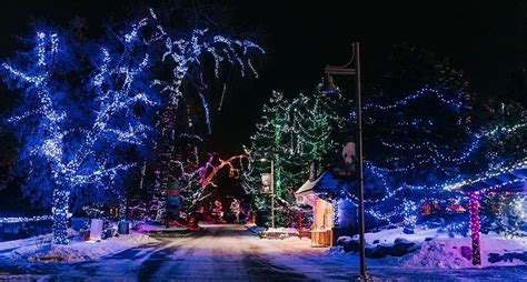 Zoolights 2020 opens to the public starting this Friday | Listed