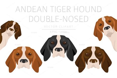 Andean Tiger Hound Double-nosed