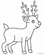 Reindeer Coloring Pages Printable  sketch template