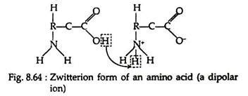 Amino Acids: Classification and Properties | Biochemistry