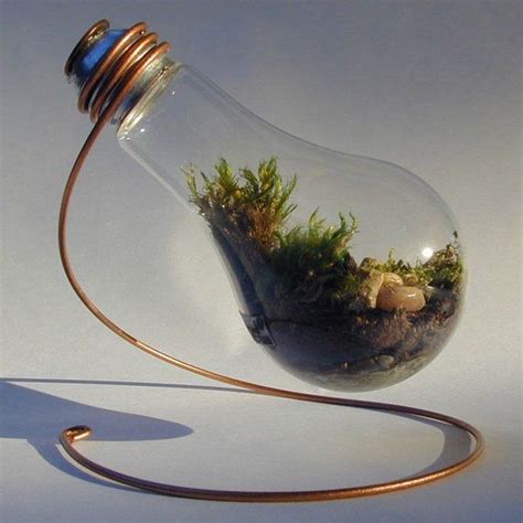 Light bulb terrarium by TonysartDesigns on Etsy | Light bulb terrarium ...