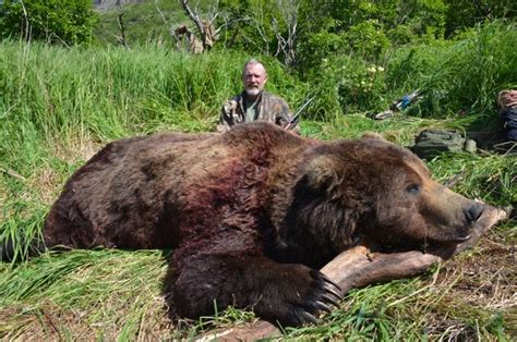 Brown Bear Alaska Peninsula Hunt | Kelly Vrem Alaska Guide Service