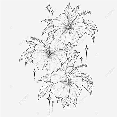 Dessin De Contour De Fleur Dhibiscus Lineart Noir Et Blanc PNG , Hibiscus, Fleur, Présenter ...