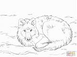 Free Howling Wolf Coloring Pages Download  sketch template