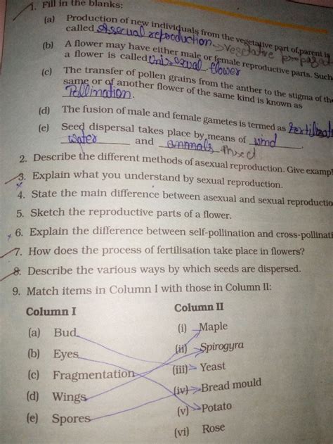 What is the difference between androecium and gynoecium - Science ...