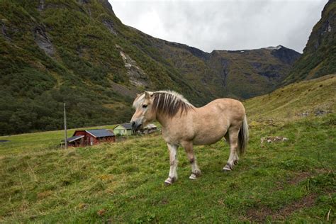 Best Things To Do In Nordfjord | TravelAwaits