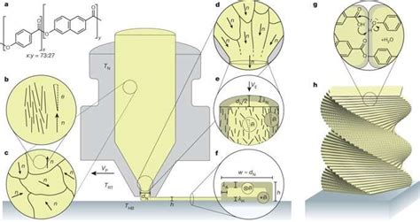 3-D printing hierarchical liquid-crystal-polymer structures