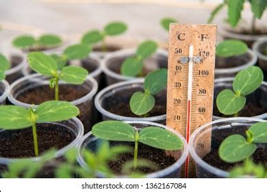 Thermometer Greenhouse: Over 765 Royalty-Free Licensable Stock Photos ...