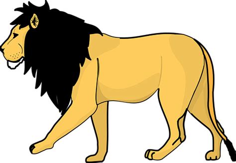 200+ Free Lion & Animal Vectors - Pixabay