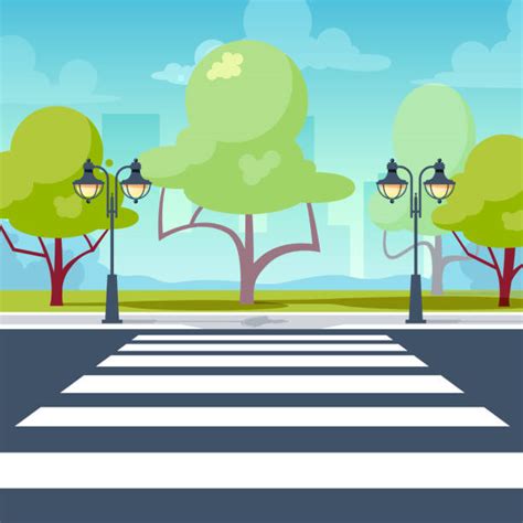 1,600+ Zebra Crossing Stock Illustrations, Royalty-Free Vector Graphics & Clip Art - iStock